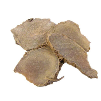 Rhizoma Curcumae<br>(E Zhu)